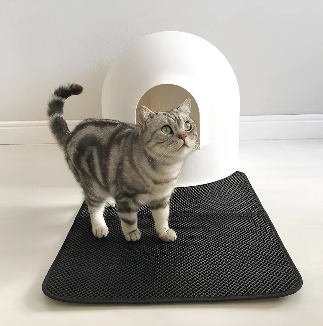 Clearance Blowout! 🚨 Negusy™ Waterproof Cat Litter Mat