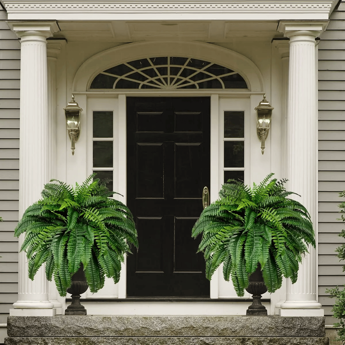 ❗❗❗Final Day! Massive 75% Discount on Sun-Defying, Hyper-Realistic Boston Ferns
