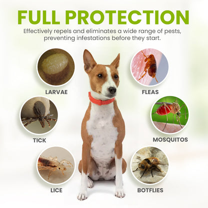 Zakdavi™ Anti-Flea and Tick Collar – 12 Months Flea and Tick Free