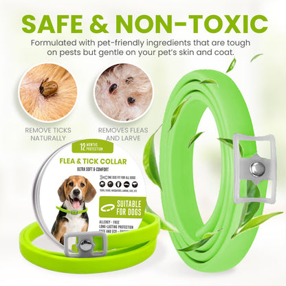 Zakdavi™ Anti-Flea and Tick Collar – 12 Months Flea and Tick Free