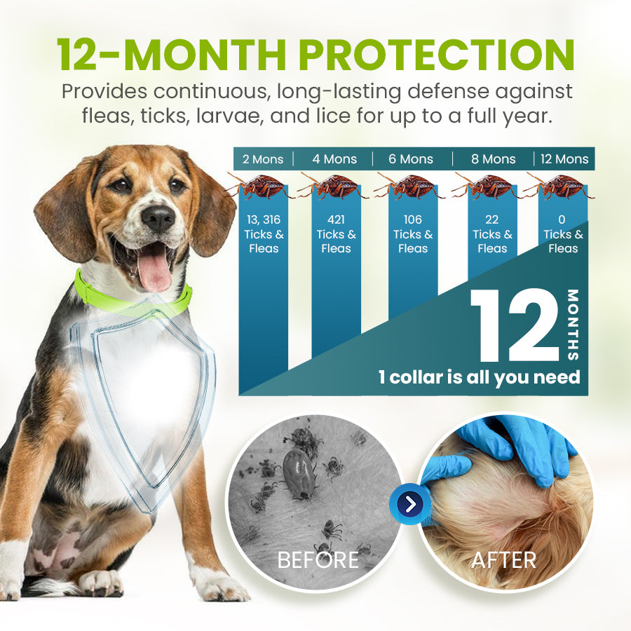 Zakdavi™ Anti-Flea and Tick Collar – 12 Months Flea and Tick Free