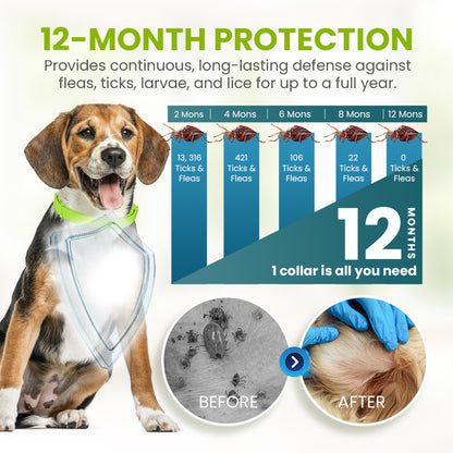 Zakdavi™ Anti-Flea and Tick Collar – 12 Months Flea and Tick Free