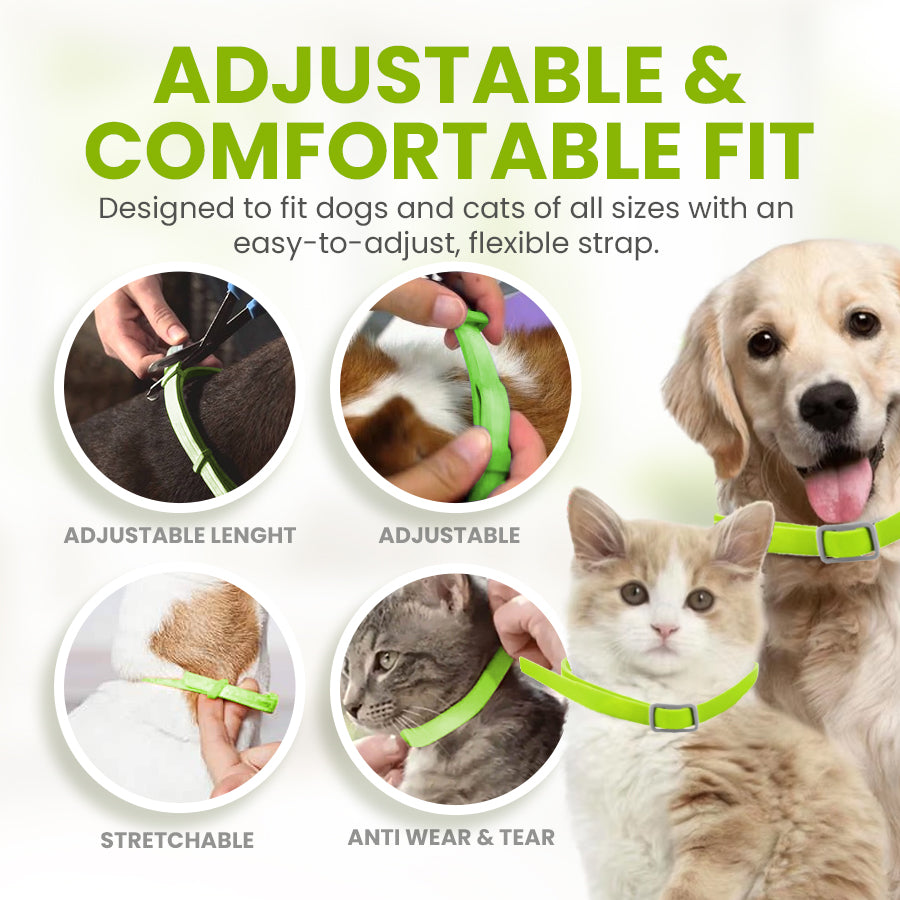 Zakdavi™ Anti-Flea and Tick Collar – 12 Months Flea and Tick Free