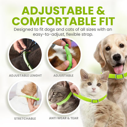 Zakdavi™ Anti-Flea and Tick Collar – 12 Months Flea and Tick Free