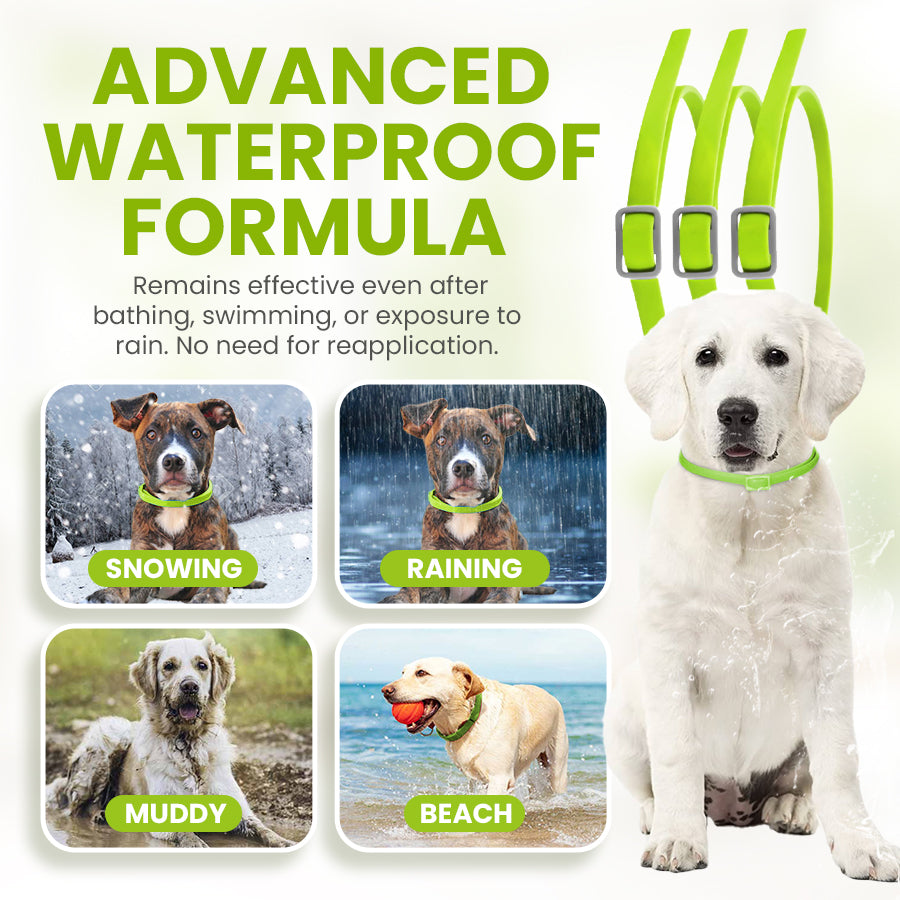 Zakdavi™ Anti-Flea and Tick Collar – 12 Months Flea and Tick Free