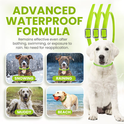 Zakdavi™ Anti-Flea and Tick Collar – 12 Months Flea and Tick Free