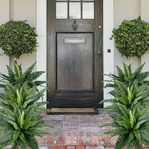 🔥Last Day 75% OFF--🌿UV Resistant Lifelike Artificial Boston Fern