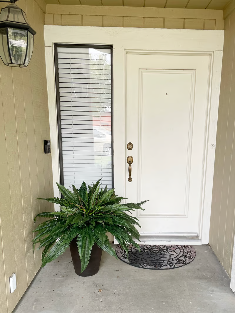 🔥Last Day 75% OFF--🌿UV Resistant Lifelike Artificial Boston Fern