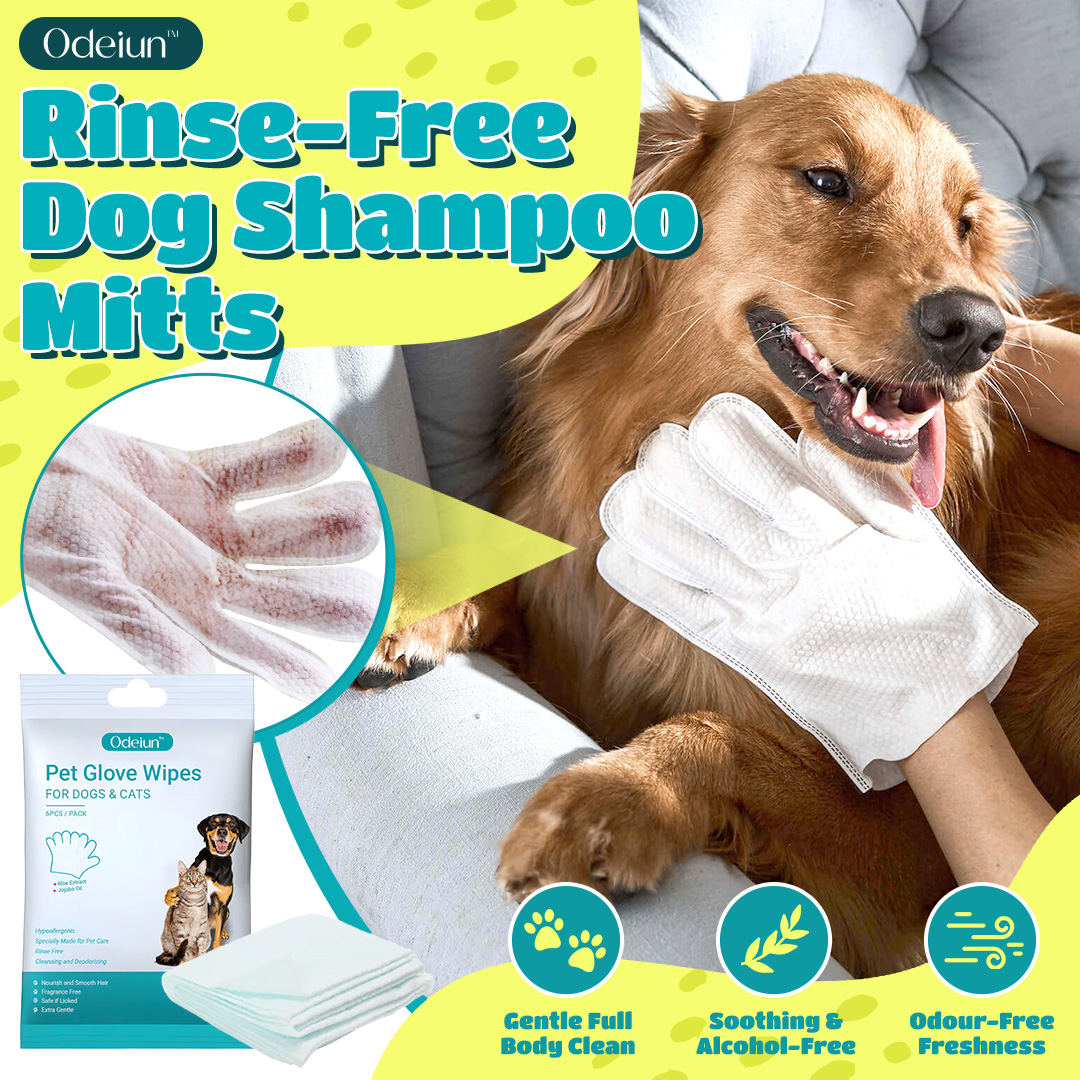 🔥 ODEIUN™ Rinse-Free Dog Shampoo Mitts – Hypoallergenic Pet Bath Wipes | 6-Pack for Easy Grooming & Sparkling Clean Fur 🐶✨