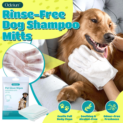 🔥 ODEIUN™ Rinse-Free Dog Shampoo Mitts – Hypoallergenic Pet Bath Wipes | 6-Pack for Easy Grooming & Sparkling Clean Fur 🐶✨