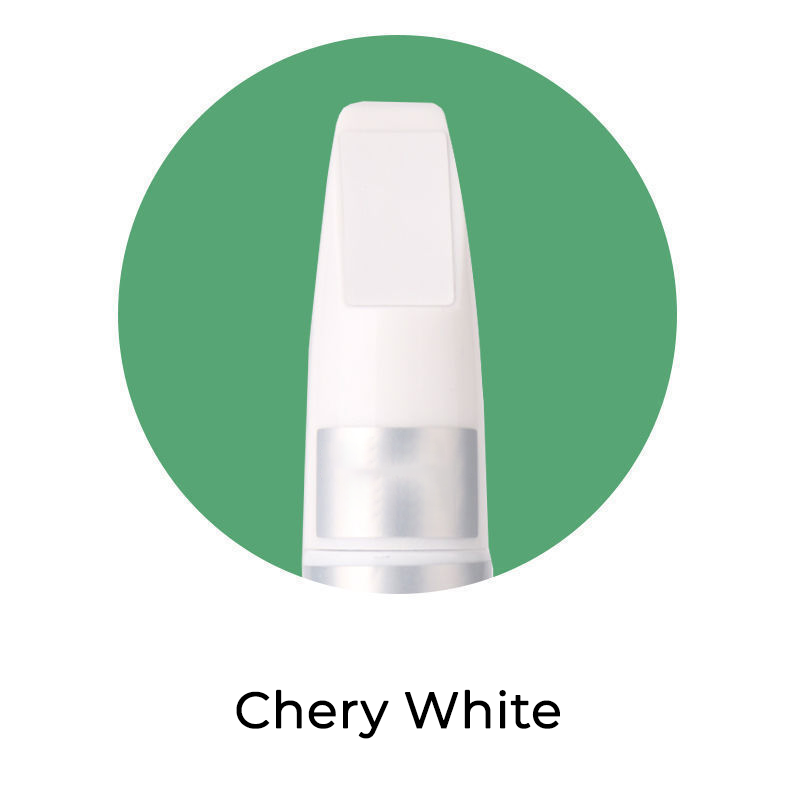 Seurico™ Custom Car Paint Vehical Scratch Repair Kit