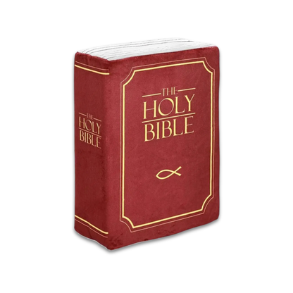 ✝️The Bible Pillow