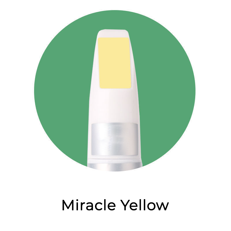 Seurico™ Custom Car Paint Vehical Scratch Repair Kit