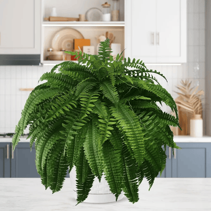 ❗❗❗Final Day! Massive 75% Discount on Sun-Defying, Hyper-Realistic Boston Ferns