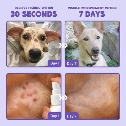 Negusy™ Natural Flea & Tick Spray – Fast-Acting, Safe & Gentle for Pets