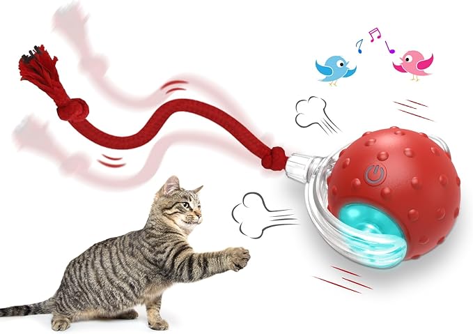 Interactive Pet Rolling Ball | Boosts Your Pet's Activity & Mental Stimulation 🐾