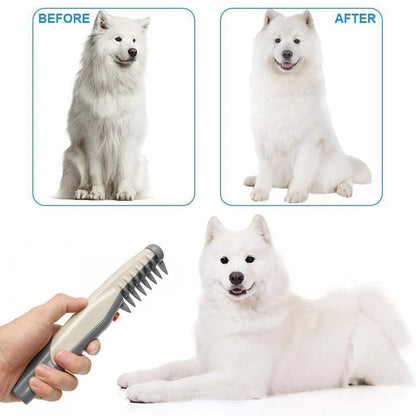 Electric Cat and Dog Comb: Efficient Grooming Made Easy