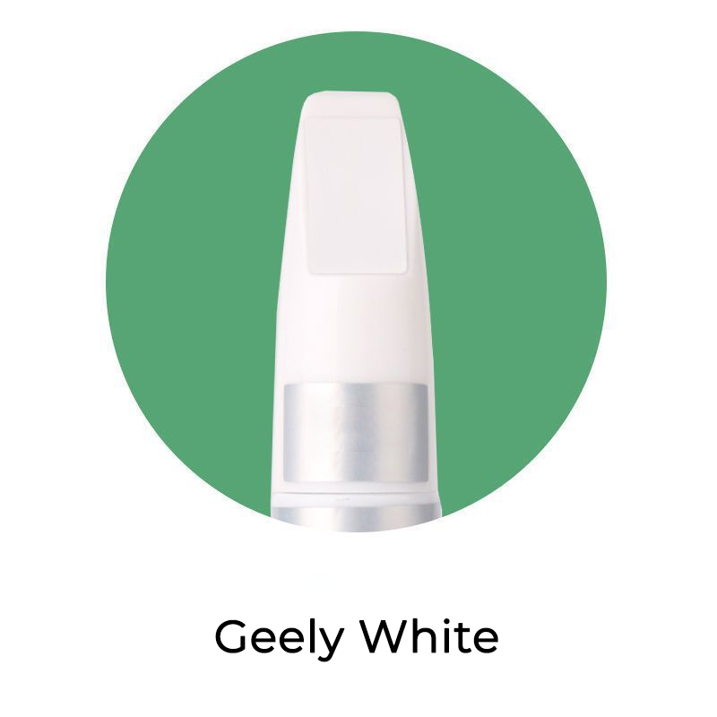 Seurico™ Custom Car Paint Vehical Scratch Repair Kit