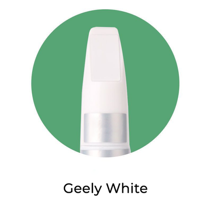 Seurico™ Custom Car Paint Vehical Scratch Repair Kit