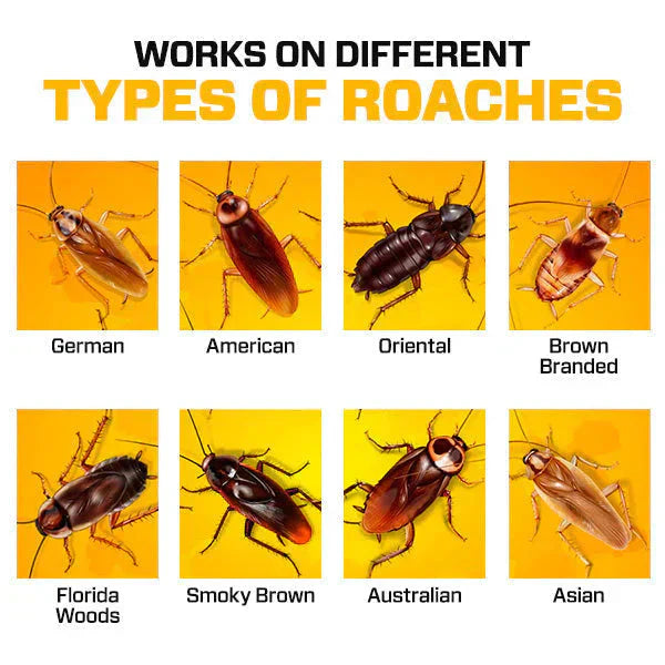 Seurico™  Cockroach Repellent Gel