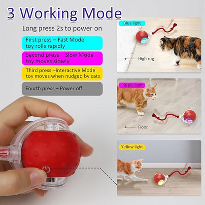 Interactive Pet Rolling Ball | Boosts Your Pet's Activity & Mental Stimulation 🐾
