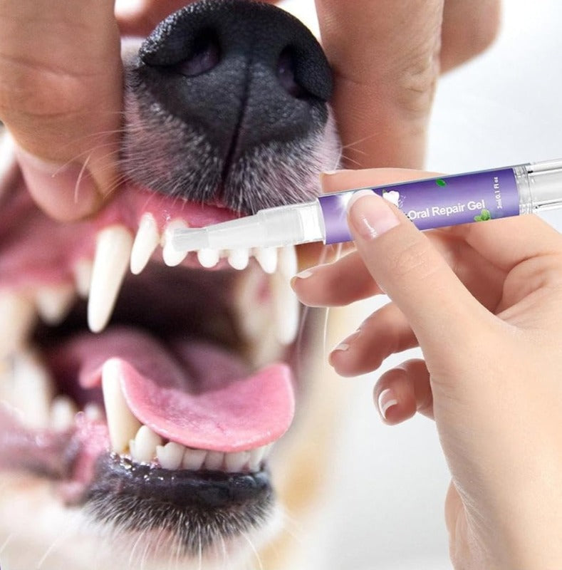 Fresh Smile Pet Gel