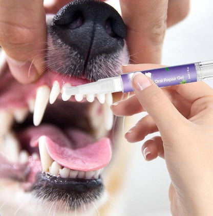 Fresh Smile Pet Gel
