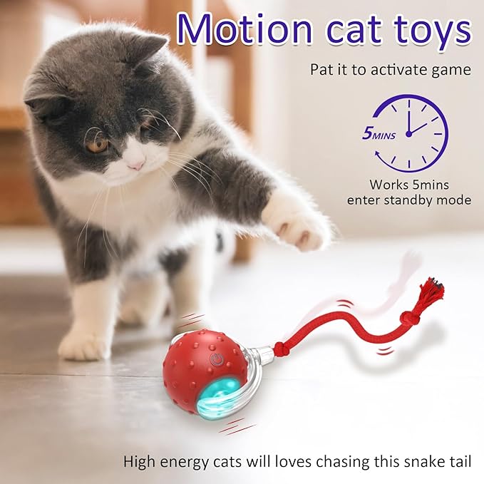 Interactive Pet Rolling Ball | Boosts Your Pet's Activity & Mental Stimulation 🐾