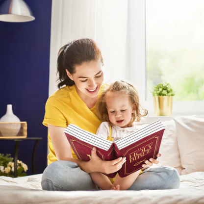 ✝️The Bible Pillow