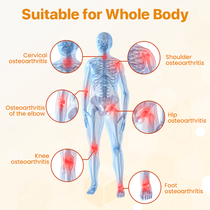 Zakdavi™ Bee Venom Joint Care Salve – Natural Pain Relief & Support for Healthy Joints 🐝💪