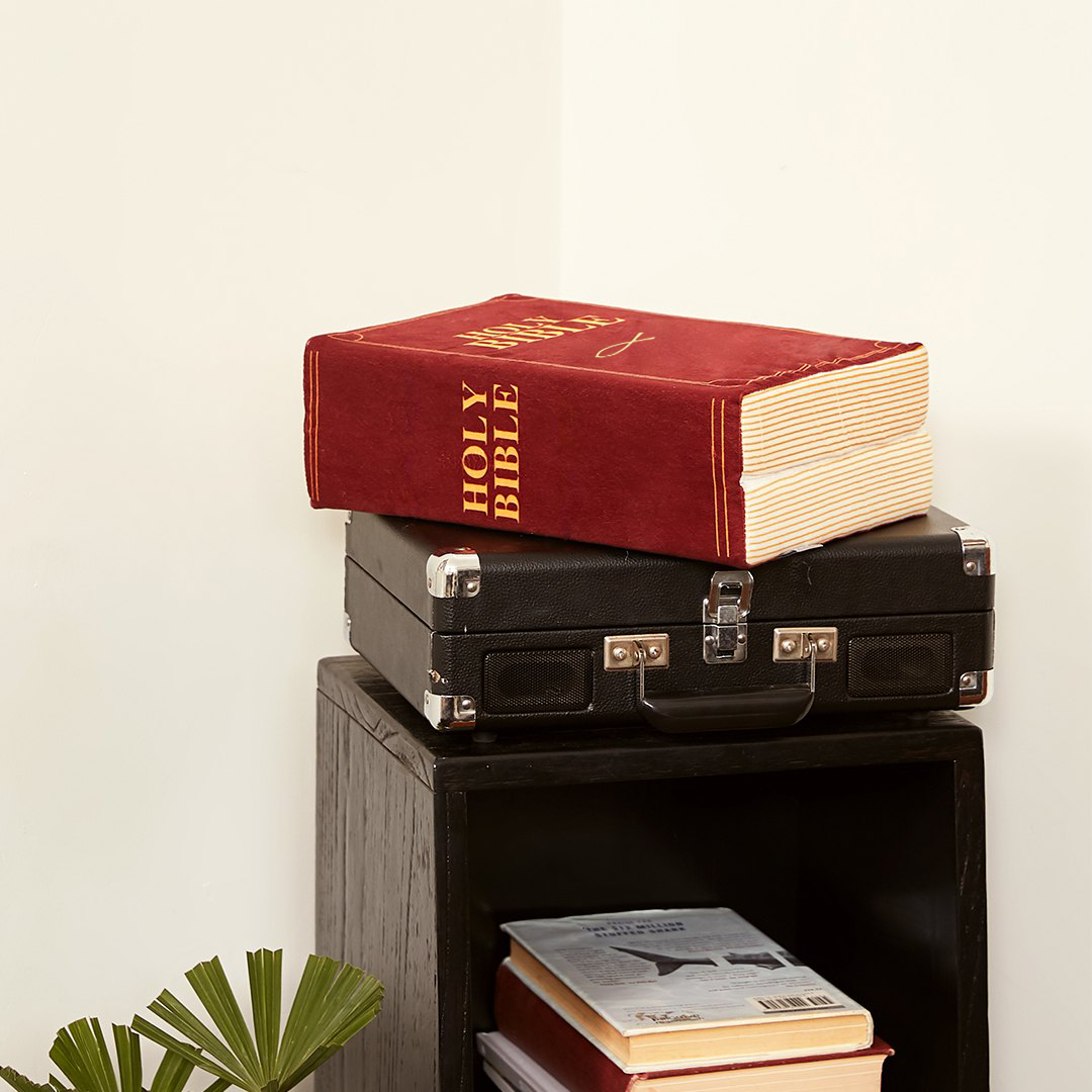 ✝️The Bible Pillow