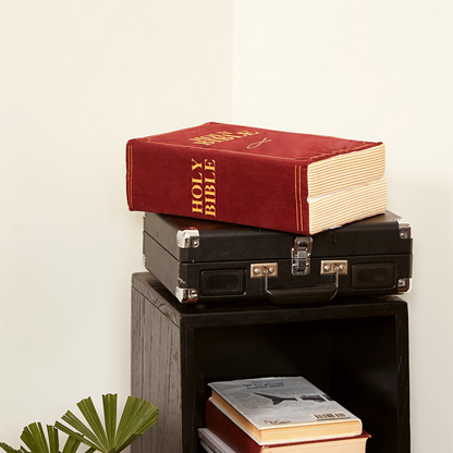 ✝️The Bible Pillow