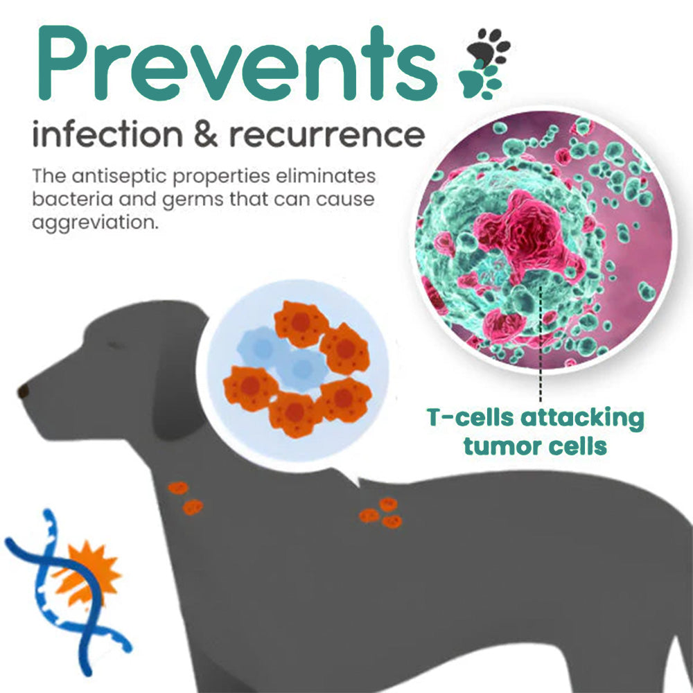 💥2025 Limited 75% OFF ⏳ Odeiun™ Lumps & Bumps Korilin Pet Spray