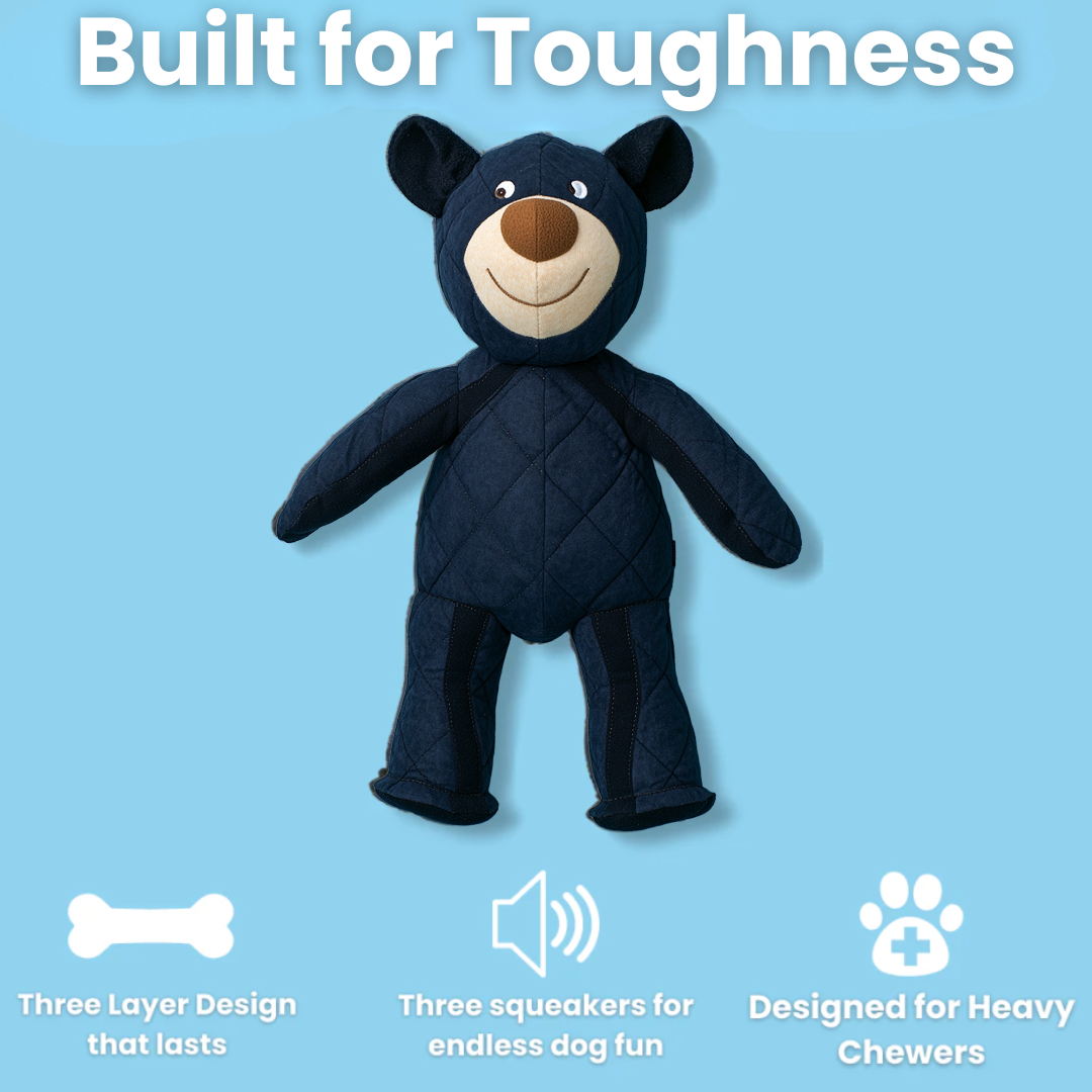 2025 New Buddy BearBite for frequent chewers🦮🐕‍🦺