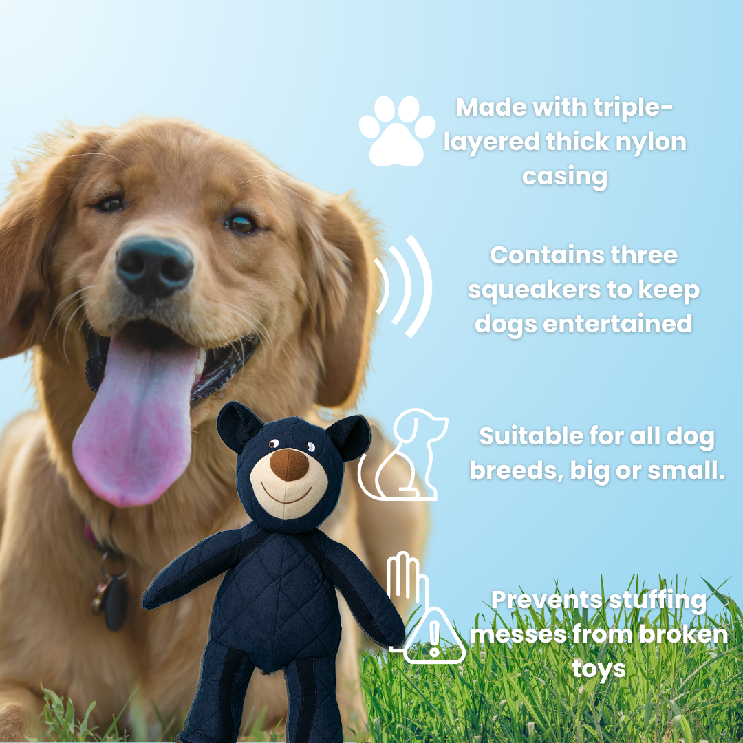 2025 New Buddy BearBite for frequent chewers🦮🐕‍🦺