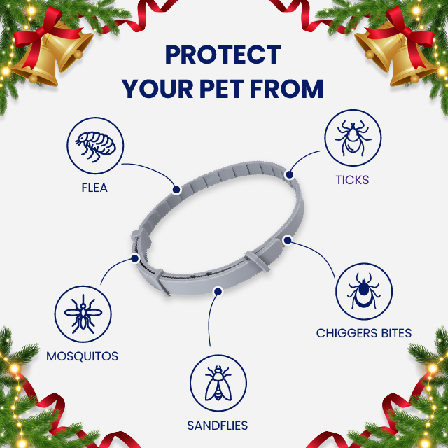 Zakdavi™ Adjustable Flea and Tick Collar for Dogs and Cats
