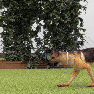 Zakdavi™ Adjustable Flea and Tick Collar for Dogs and Cats