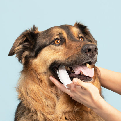 Natural Formula Pet Cleansing Finger Wipes