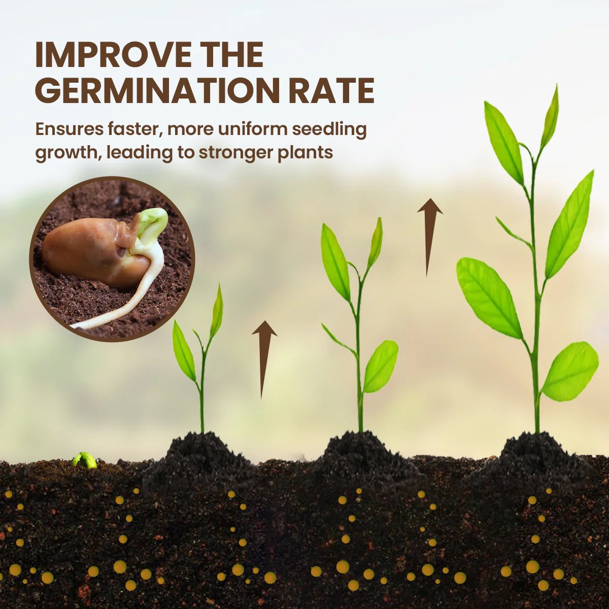 Zakdavi™ Soil Pro Activator