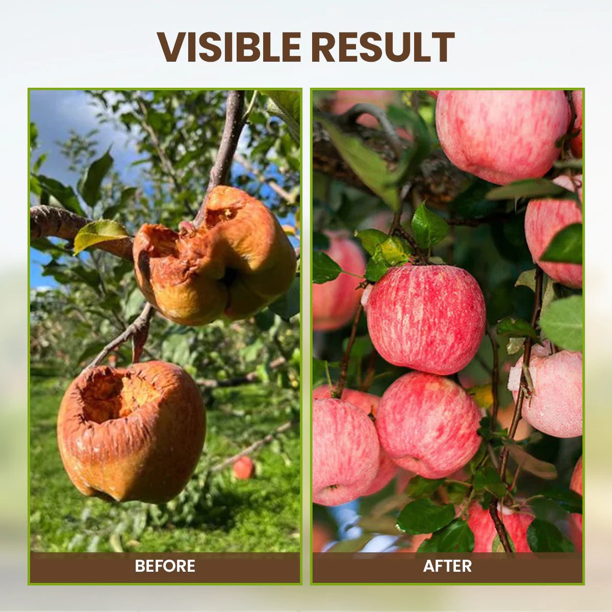 Zakdavi™ Soil Pro Activator