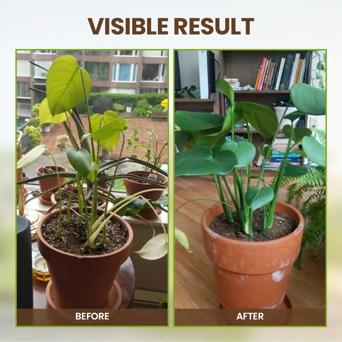 Zakdavi™ Soil Pro Activator