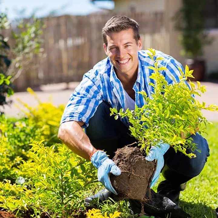 Zakdavi™ Soil Pro Activator