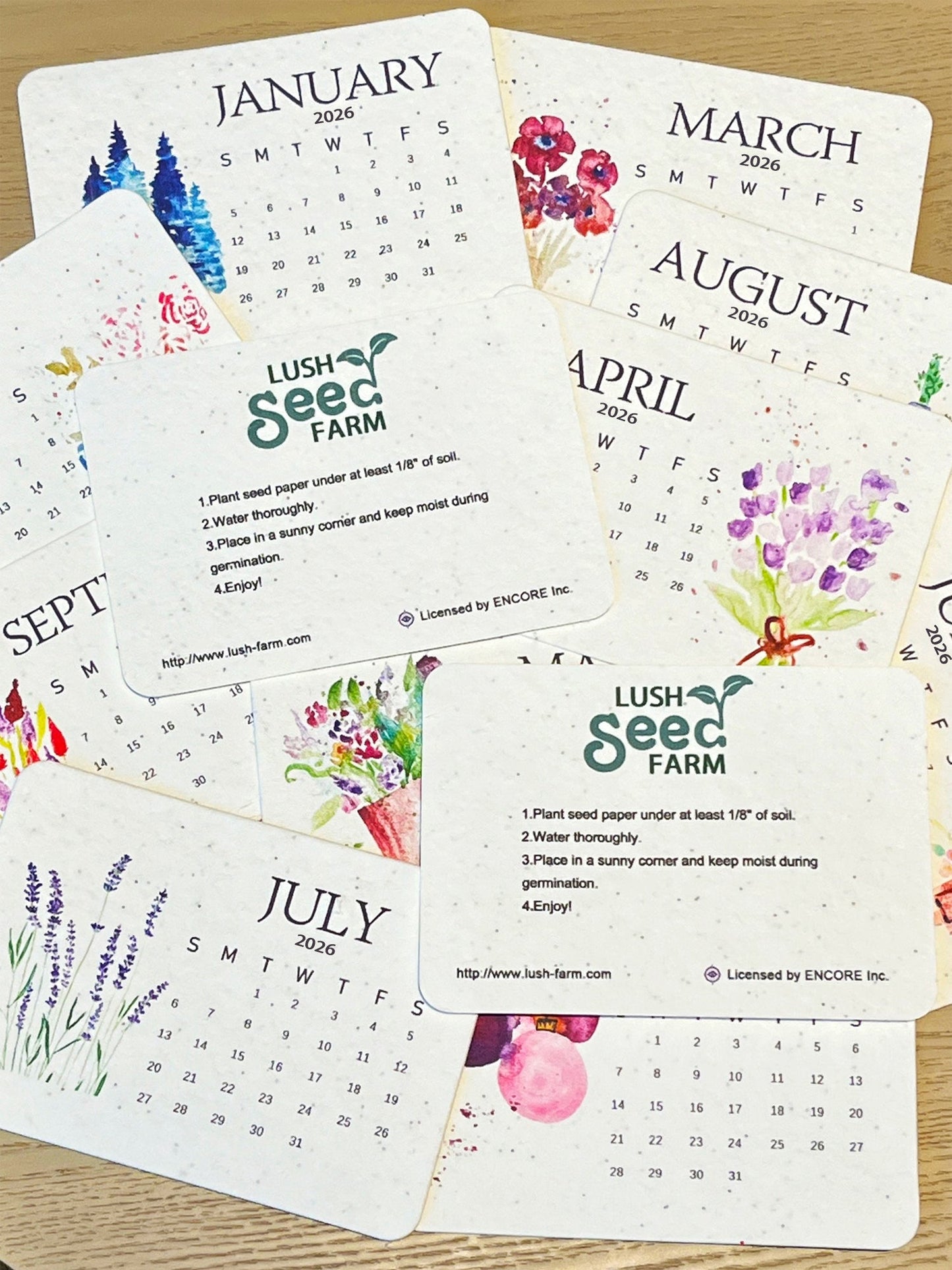 🎨🌱 The 2026 Blooming Calendar: A Garden in Every Page