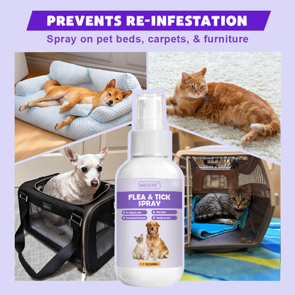 Negusy™ Natural Flea & Tick Spray – Fast-Acting, Safe & Gentle for Pets