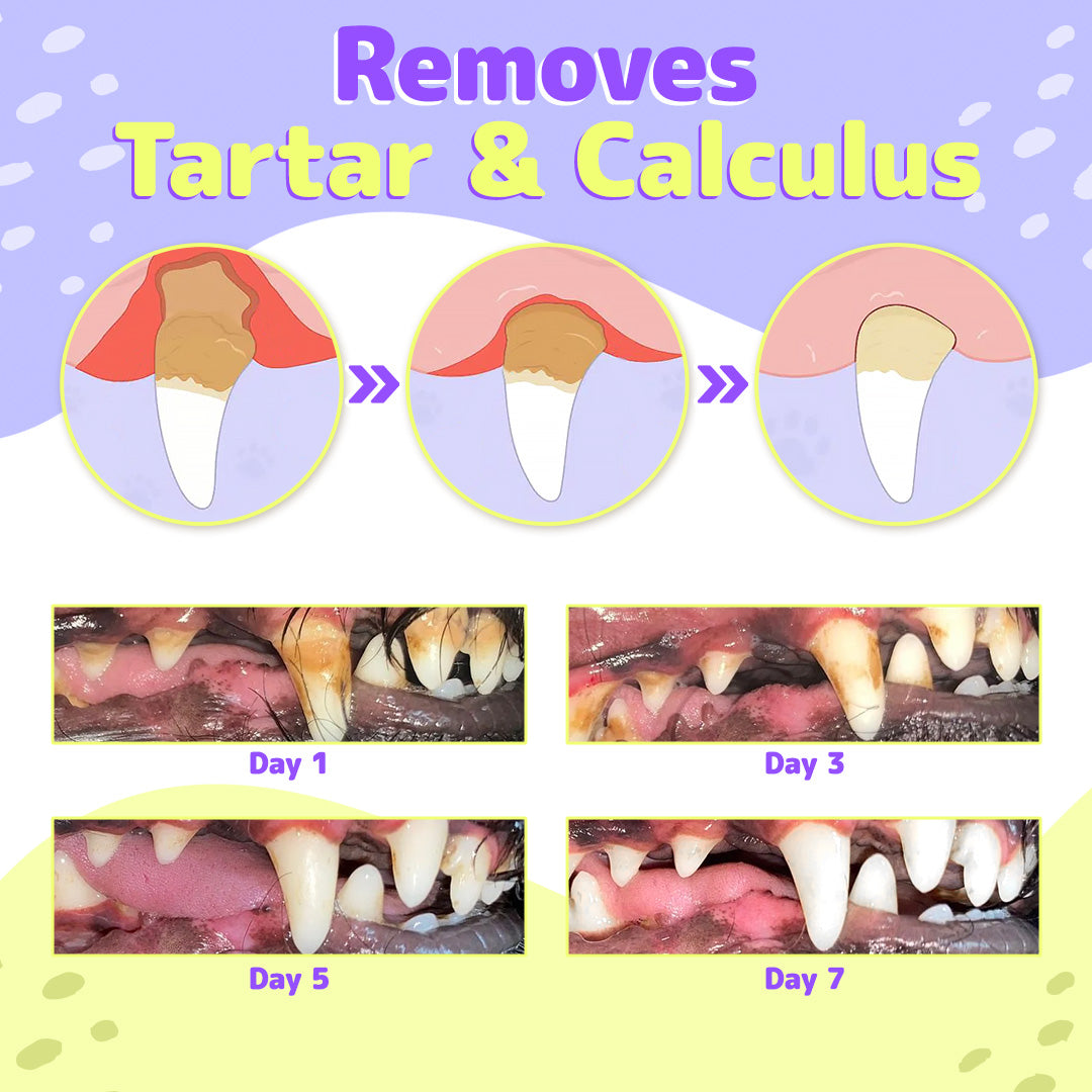 Pet Oral Repair Gel（One box contains two gels）