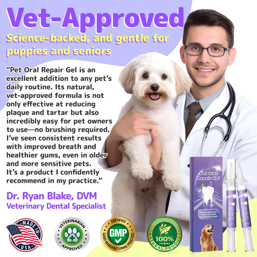 Pet Oral Repair Gel（One box contains two gels）