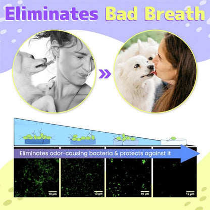 Pet Oral Repair Gel（One box contains two gels）