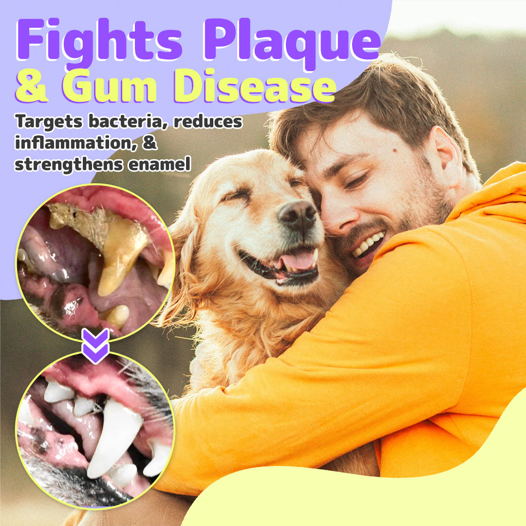 Pet Oral Repair Gel（One box contains two gels）