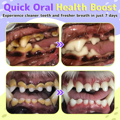 Pet Oral Repair Gel（One box contains two gels）