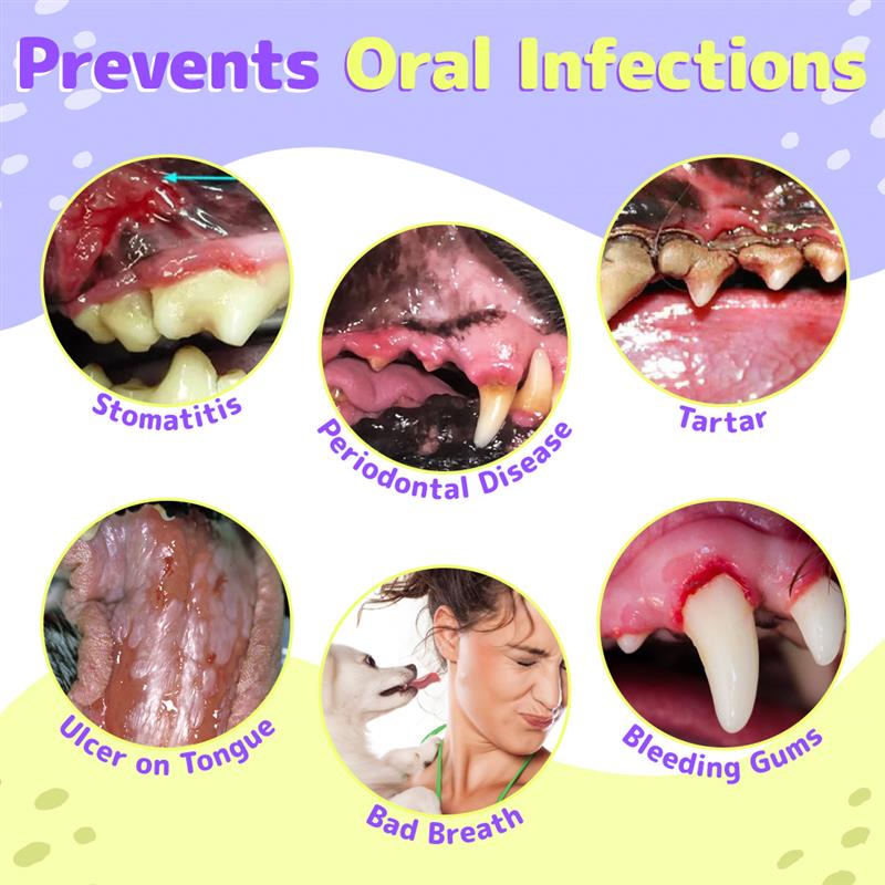 Pet Oral Repair Gel（One box contains two gels）